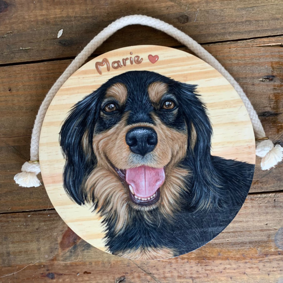 Pintura Pet Pinus 20x20cm